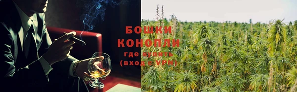 шишки Болхов