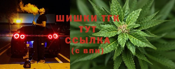 молекула духа Краснослободск