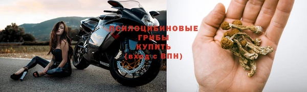 молекула духа Краснослободск