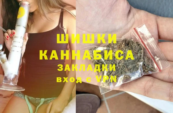 молекула духа Краснослободск